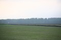 
FinnFoto_294227